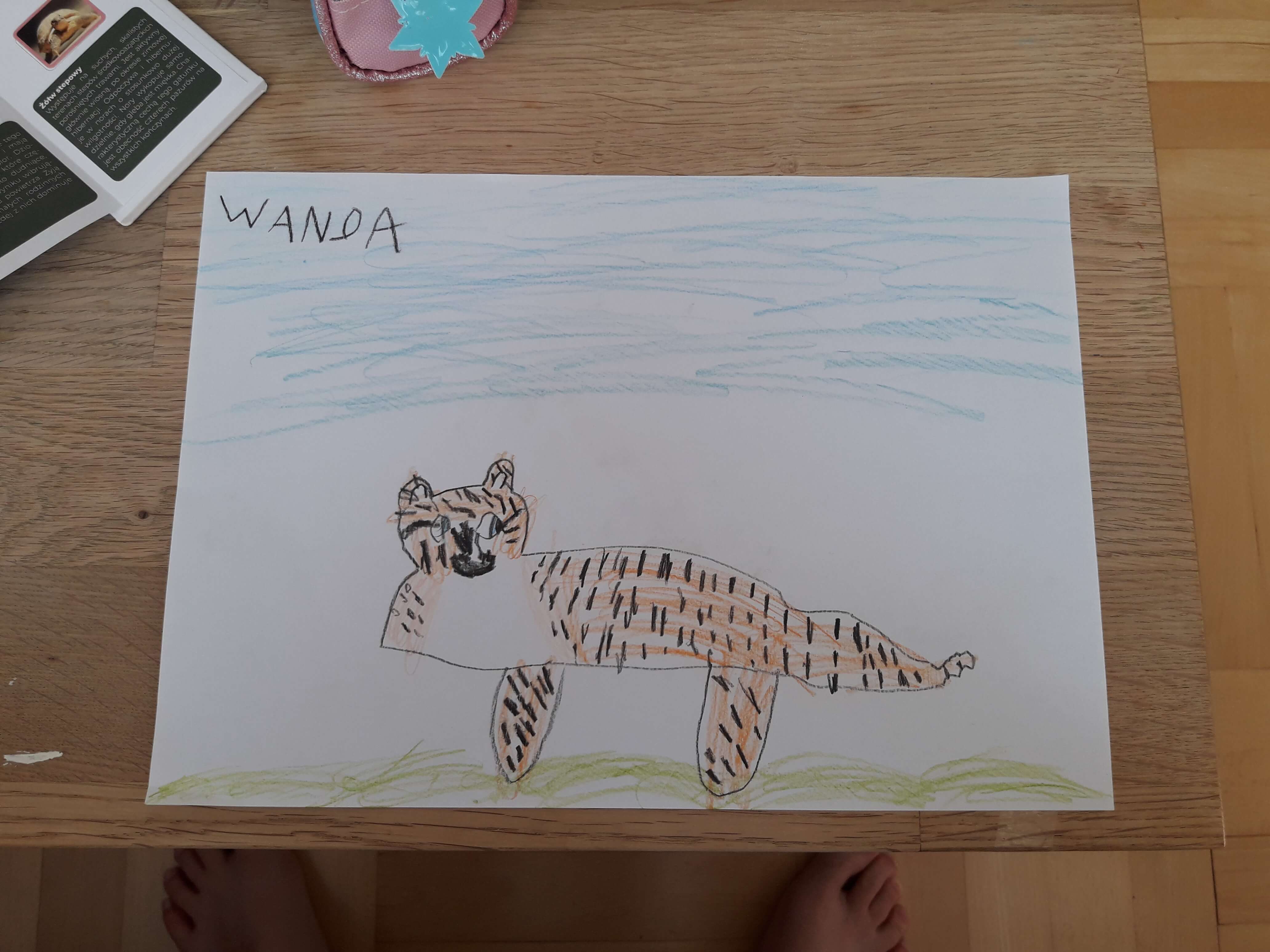 gepard